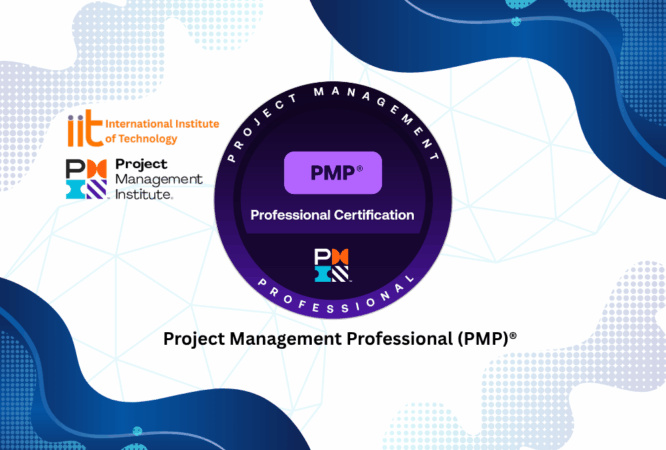 Project Management Professional (PMP)®