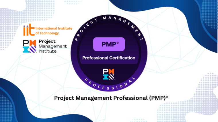 Project Management Professional (PMP)®