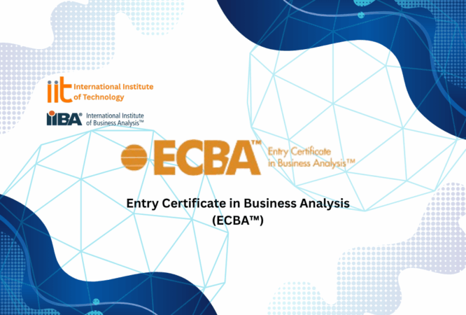 Entry Certificate in Business Analysis (ECBA™)